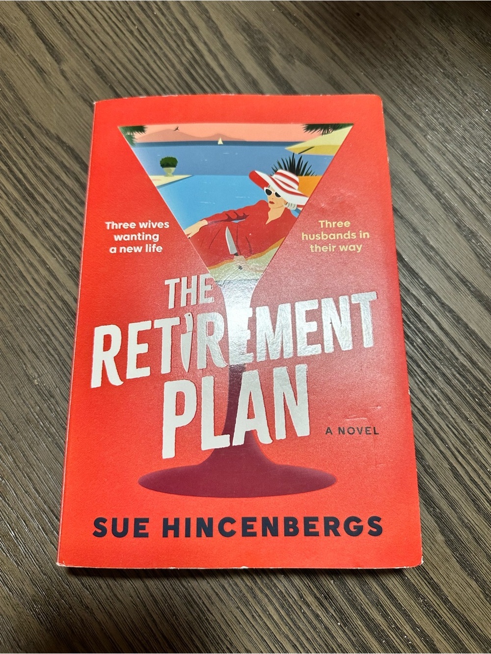 📚3 for $20 📚BOOK SALE - The Retirement Plan by Sue Hindenbergs